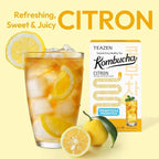 TEAZEN Citron Kombucha Tea, Hydration Drink Mix, Sugar Free, Live Probiotics & Prebiotics, 10 Sticks, 1.76oz