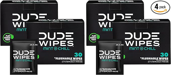 DUDE Wipes - On-The-Go Flushable Wipes - 4 Pack, 60 Count - Mint Chill Extra-Large Individually Wrapped Adult - with Eucalyptus & Tea Tree Oil - Septic and Sewer Safe