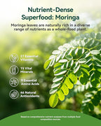 Inner Brightness Moringa Gummies 1000mg Per Serving – 10:1 Moringa Leaf Extract Green Superfood for Energy & Immune Support – Vegan, Non-GMO, 60 Count, Made in US