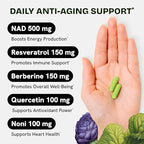 Liposomal NAD Supplement for Women w/Noni | 5-in-1 NAD Resveratrol Supplement w/Berberine & Quercetin | Pure NMN Powder Alternative | Supports Anti Aging & NAD+ Levels | 120 caps - 2 Packs