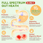 (2 Packs) Totaria Sugar Free 5-in-1 Probiotic Prebiotic Postbiotic Gummy, Probiotics for Women Men with Digestive Enzymes, Peppermint, Complete Immune, Gut & Digestive Support, Vegan Strawberry Flavor