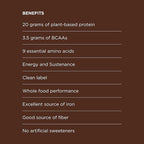Protein Powder Chocolate Cacao - 20g of Vegan, Plant-Based Protein Mix - Non-GMO, Non-Dairy, Gluten-Free - 3.5g of BCAAs - 9 Essential Amino Acids - 30-Day Supply - 2 Bag, 30 Servings
