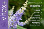 VH Nutrition VITEX+ | Vitex Chasteberry Supplement for Women | Hormonal Balance* and Fertility Support* | 650mg Per Serving of Vitex Berry Extract Powder | 60 Capsules