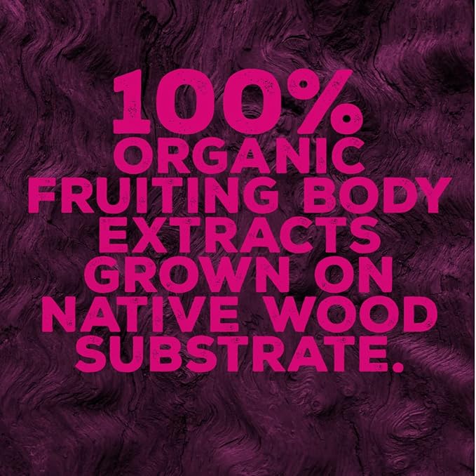 Mushroom Supplement Gummies for Immunity – Reishi, Turkey Tail, Chaga, Zinc, D3 – Vegan Gummy for Healthy Immune Support - Elderberry Blueberry Flavor (60 Count)