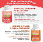 5-in-1 Organic Turmeric Curcumin Supplement (4210mg) with Berberine, Ceylon Cinnamon Bioperine and Ginger Supplements for Joint, Heart, Gut, & Metabolic Support (60 Servings)