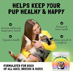 Mushroom Complex Treats for Dogs with Reishi, Shiitake, and Turkey Tail Mushrooms for Cognition and Immune Boosting Supports Digestive Health and Reduces Inflammation DHA EPA Turmeric Kelp (120pcs)
