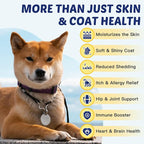 ZEBORA Salmon Oil for Dogs, Omega 3 Fish Oil for Dogs Skin and Coat with EPA & DHA, Zinc, Biotin, Quercetin, Vitamin C & E for Dog Allergy Relief, Hot Spot Treatment, Control Dog Shedding, 180 Chews