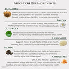 Focus + Energy + Performance Support-6-in-1 Mushroom Nootropic & Mitochondrial Complex-Advanced Brain Supplement-Natural Energy-Caffeine Free Biohack with Lion’s Mane,Cordyceps,Mumijo,Fenugreek