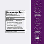 Pendulum Metabolic Daily - Multi-Strain Probiotic with Akkermansia muciniphila to Support Metabolism and Sustain Energy Levels - for Women and Men - 30 Capsules (1 Pack)