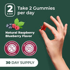 PurePremium Beet Root Gummies - 60 Sugar Free Chews - Nitric Oxide Beetroot Gummies | Natural Blueberry Flavor - Supplements for Normal Blood Pressure – 1 Month Supply