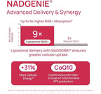 NAD+ Supplement for Women - NMN Alternative with β-NAD+, Trans-Resveratrol, CoQ10, D-Ribose - Promotes Cellular Renewal, Energy, and Radiant Skin Health - 2 Packs Advanced (Packaging May Vary)