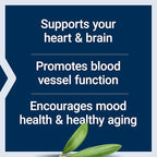 Life Extension Super Omega-3 EPA/DHA Fish Oil, Sesame Lignans & Olive Extract – Heart Health, Brain Health, Inflammation Health Support, Gluten-Free, Enteric-Coated, Non-GMO, 120 Softgels