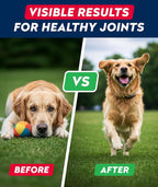 Glucosamine Treats for Dogs - Joint Supplement w/ Omega-3 Fish Oil - Chondroitin, MSM - Advanced Mobility Chews - Joint Pain Relief - Hip & Joint Care - Peanut Butter Flavor - 180 Ct - Made in USA