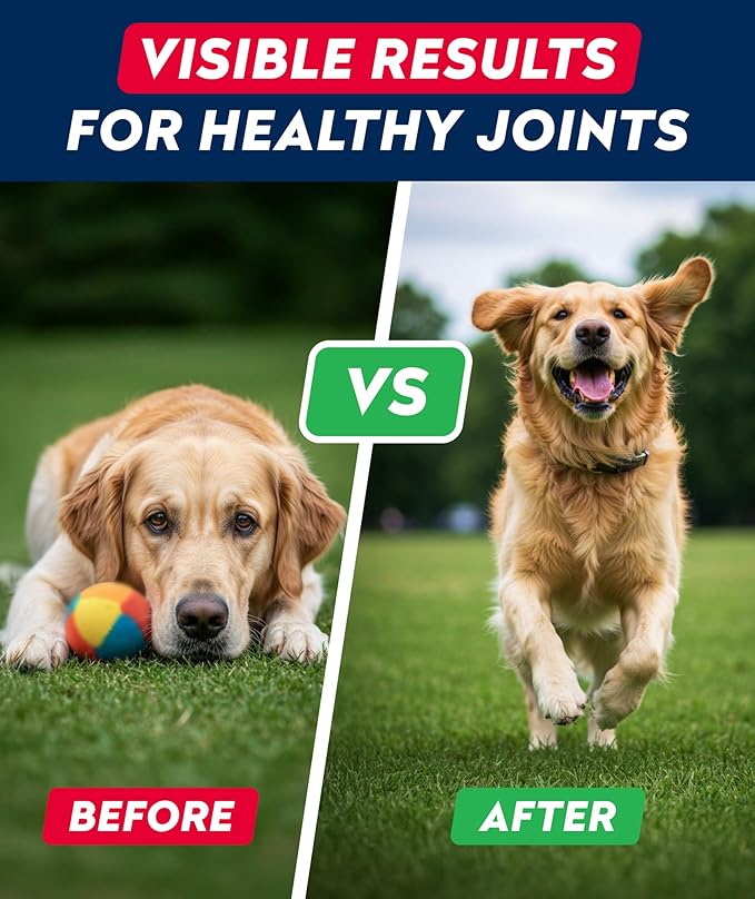 Glucosamine Treats for Dogs - Hip & Joint Supplement w/Omega-3 Fish Oil - Chondroitin, MSM - Advanced Mobility Chews - Joint Pain Relief - Hip & Joint Care - Bacon Flavor - 180 Ct - Made in USA