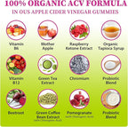 Appetite Suppressant Supplement| Akkermansia Function| Apple Cider Vinegar Gummies with Green Tea Extract, Probiotic for Fat Burner, Detox Cleanse, Metabolism, Energy & Digestive Health, 120 Gummies