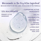 Organic Niacinamid Serum High Dose • The Best + 7 Power Active Ingredients = Hyaluron, Vitamin C, Niacinamide • Highly Effective Retinal (Niacinamid Serum, 1.70 Fl Oz)