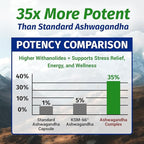 1 Body Ashwagandha Complex Supplement, Focus and Energy Support, 120 Vegan Capsules