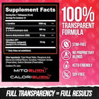 ALPHA LION Burn2O L-Carnitine Liquid 2000mg, Premium Liquid Fat Burner & Pre-Workout Supplement for Men & Women - Natural Energy & Metabolism Booster for Weight Loss - ShredBerry