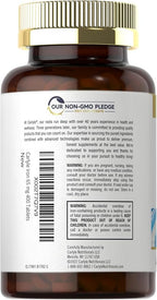 Carlyle Iron Ferrous Sulfate 325mg, 65 mg | 400 Tablets | Non-GMO, Gluten Free, and Vegetarian Supplement | High Potency