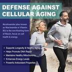 NEVISS Nicotinamide 500mg Gummies, Niacinamide Supplement with Collagen Peptides, (Flush Free Niacin) Vitamin B3 Niacinamide for Anti-Aging, NAD+ Levels, Longevity, Focus & Brain, Sugar Free, 60Cts