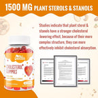 ChiQwench Cholesterol Supplements with 1500 Mg Plant Sterols & Stanols, Cholesterol Support Gummies, Cholesterol Complex Gummies, Maintains Normal Levels, Mixed Berry Flavor, 120 Count
