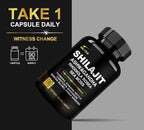 DLNIA Shilajit 9-in-1 Capsules – Organic Himalayan Complex with Ashwagandha, Sea Moss, Turmeric & More – Vegan, Lab-Tested, Immune & Energy Support for Men & Women – 90 Capsules