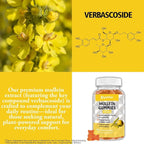 Mullein Gummies, 2000mg Organic Mullein Leaf Extract with Quercetin, Bromelain & Vitamin D3, Mullein Leaf Extract for Respiratory, Natural Lung Cleanse, Improve Appetite, Vegan, Non-GMO, 1 Pack