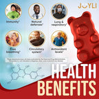 2 Pack - JOYLI Quercetin Gummies with Bromelain, Zinc, Vitamin C & D3 – Sugar-Free Quercetin Supplement for Immune Support & Seasonal Wellness – 500mg Quercetin for Kids & Adults – 60 Gummies per Pack