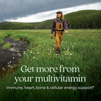 New Chapter Women’s Multivitamin 55+,Astaxanthin,B6,B12,D3,Vitamin C & Zinc,Immune,Heart,Cellular Energy,and Bone Support,Gentle on The Stomach,Daily,Non-GMO,Gluten-Free,96 Tablets,(Pack of 2)