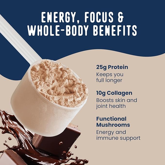 FlavCity Chocolate All in One Protein Shake Powder - On the Go Meal Alternative + Collagen Peptides, Reishi & Cordyceps - Focus, Skin, Hair & Joint Support - 100% Grass Fed Whey, 20 Servings