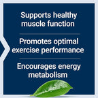 Life Extension Creatine Capsules – Creatine Monohydrate – Promotes Strength, Lean Muscle, Healthy Endurance – Non-GMO, Gluten-Free – 120 Capsules