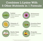 Quantum Health Super Lysine+ / Advanced Formula Lysine+ Immune Support with Vitamin C, Echinacea, Licorice, Propolis, Odorless Garlic (180 Tablets), Packaging may vary