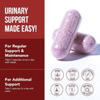 CranEaze®: Cranberry Juice Extract Plus D-Mannose – 36 mg PAC, 100% Soluble PAC - Supports Urinary Tract Health – Most Effective Cranberry Pills for Women, UTI Cranberry Supplement - 60 Capsules