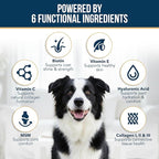 Liquid Collagen for Dogs - Dog Collagen Drops for Dogs, Supports Joints, Skin, Coat, Bones and Itch Relief for Dog, 6 in 1 Formula, 3 Types Collagens, Biotin, Vitamin C, Vitamin E and Hyaluronic Acid