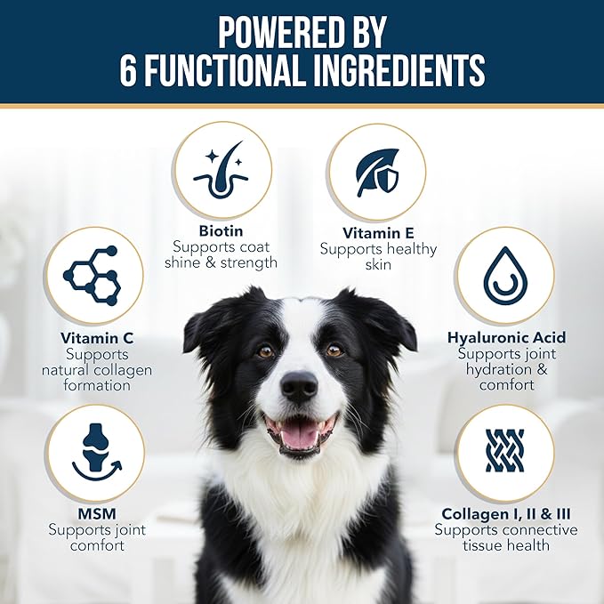 Liquid Collagen for Dogs - Dog Collagen Drops for Dogs, Supports Joints, Skin, Coat, Bones and Itch Relief for Dog, 6 in 1 Formula, 3 Types Collagens, Biotin, Vitamin C, Vitamin E and Hyaluronic Acid