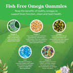 Omega DHA Gummies for Kids - Fatty Acids Omega 3 6 9 with Vitamin C for Brain, Immunity & Vision - Nutritional DHA for Kids for Healthy Nervous System & Focus Support - Fish Free & Vegan - 180 Chews