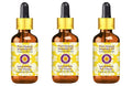 Deve Herbes Pure Hyssop Essential Oil (Hyssopus officinalis) with Glass Dropper Steam Distilled (Pack of Three) 100ml X 3 (10 oz)