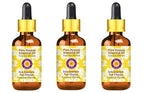 Deve Herbes Pure Hyssop Essential Oil (Hyssopus officinalis) with Glass Dropper Steam Distilled (Pack of Three) 100ml X 3 (10 oz)