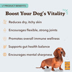 Natural Dog Company Wild Alaskan Salmon Oil Formula with Omega 3, Fish Oil for Dogs Supplement, Skin & Coat Dog Oil, Itchy Relief, Immune Support for Joints & Heart, Liquid Food Topper, 32 oz