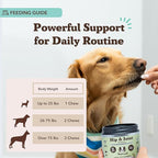 Natural Dog Company Vet Strength Hip & Joint Chews for Senior Dogs (90ct) Joint & Flexibility Support, Arthritis Relief for Senior Dogs, 1.3X Glucosamine, 2X Green Lipped Mussel & MSM for Dog Mobility