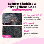 Premium Collagen for Dogs & Cats – 5 Types of Grass-Fed Collagen (I, II, III, V & X), Fast Allergy & Itch Relief Dog Colágeno with MSM, Biotin & Hyaluronic Acid – Supports Healthy Skin & Joints –120ml