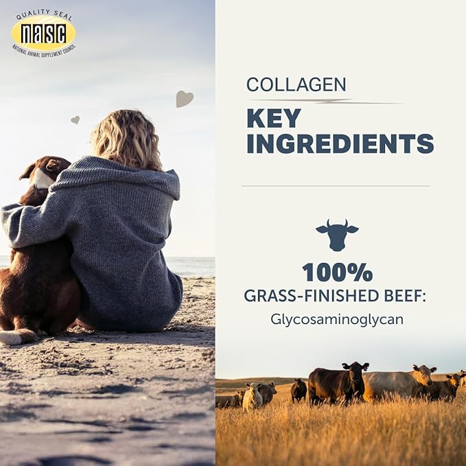 Four Leaf Rover Collagen for Dogs - Type II Grass-Finished Beef Collagen with Chondroitin Sulfate - 30 Day Large Dog Supply, Powder