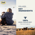 Four Leaf Rover Collagen for Dogs - Type II Grass-Finished Beef Collagen with Chondroitin Sulfate - 30 Day Large Dog Supply, Powder