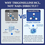 NAD Supplement - NMNH Alternative with Trigonelline HCL 500mg & Resveratrol - NAD+ Precursors Plant Extraction - Support Cellular Energy & Healthy Aging & Brain for Women & Men - 90 Capsules