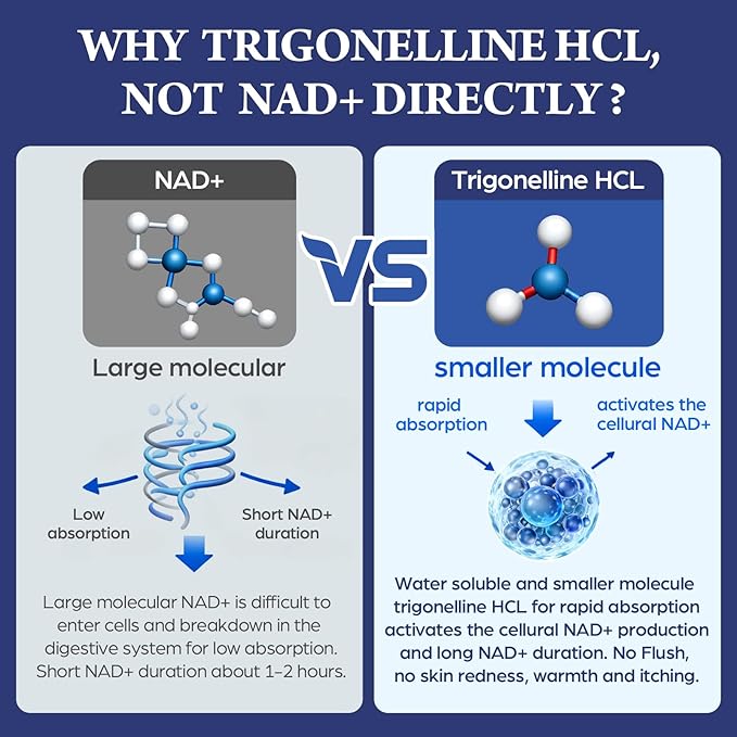NAD Supplement - NMNH Alternative with Trigonelline HCL 500mg & Resveratrol - NAD+ Precursors Plant Extraction - Support Cellular Energy & Healthy Aging & Brain for Women & Men - 90 Capsules