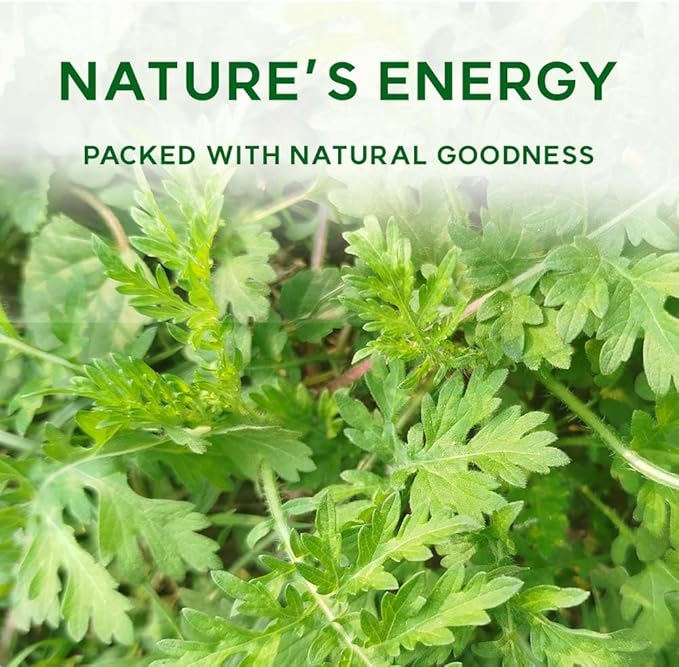 K-Herb Korean Mugwort Powder – 100% Pure Dried Mugwort from Korea, Natural Ingredient for Herbal Tea, Culinary Use, Plant-Based Powder 쑥가루 (10.6 oz (300g), Mugwort)