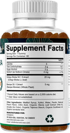 Vitamatic Ginkgo Biloba & Bacopa Gummies – Plant-Based Botanical Extract – Natural Peach Flavor – Vegan, Non-GMO, Gluten-Free – Herbal Supplement – 60 Count - 2 Pack (120 Count)