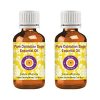 dève herbes Pure Dalmatian Sage Essential Oil (Salvia officinals) Steam Distilled (Pack of Two) 100ml X 2 (6.76 oz)