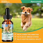 Yeast Infection Treatment for Dogs, 2 FL Natural Dog Yeast Infection Treatment, Ear & Skin Itch Relief, Reduces Inflammation & Irritation, Herbal Dog Supplement Drops with Probiotics & Multivitamins