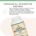 Digestive Enzymes - 800mg Blend of All 10 Most Essential Digestive and Pancreatic Enzymes (Amylase, Lipase, Bromelain, Lactase, Papain, Protease, Cellulase, Maltase, Invertase) by Double Wood